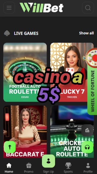 Casino A 5$ - Play with Low Stakes & Win Big-www.bdqngd.com